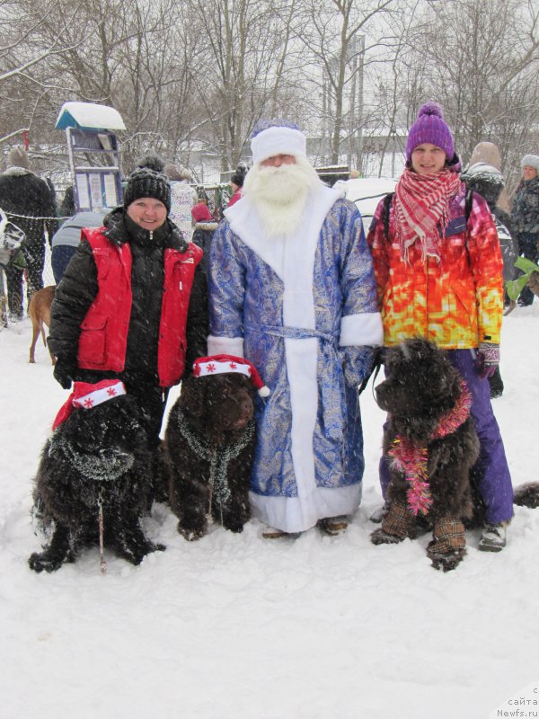 Фотография № 172634