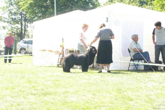 Фото: Papa Hacedors Inner Smile