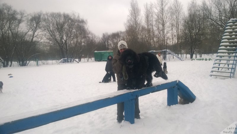 Фотография № 172671