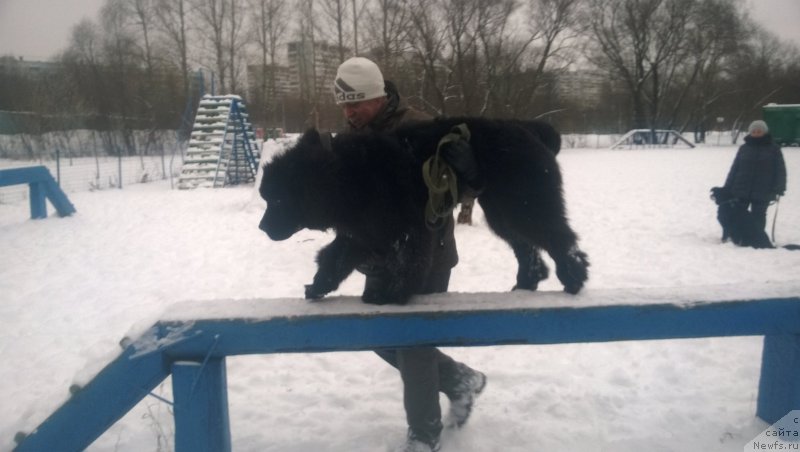 Фотография № 172672