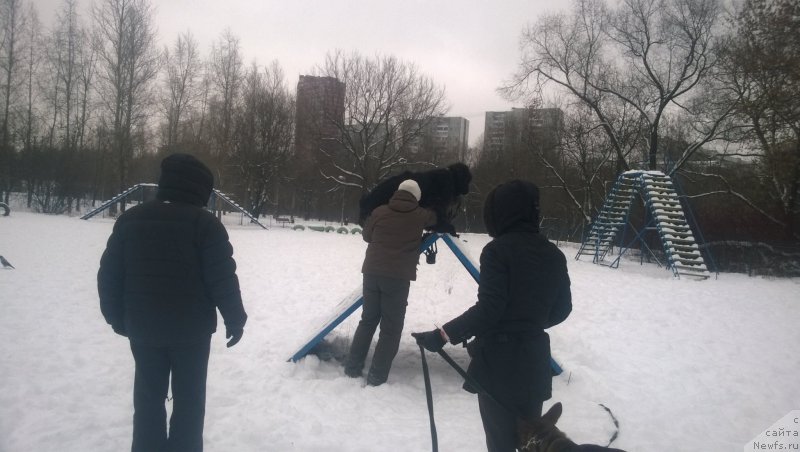 Фотография № 172673