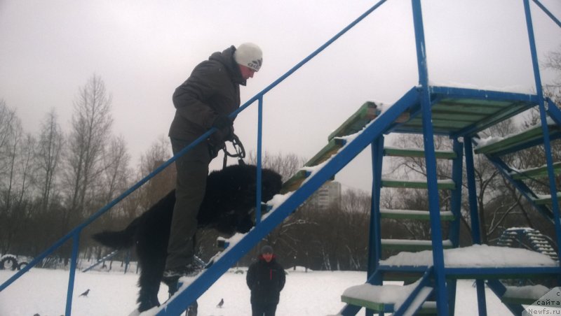 Фотография № 172676