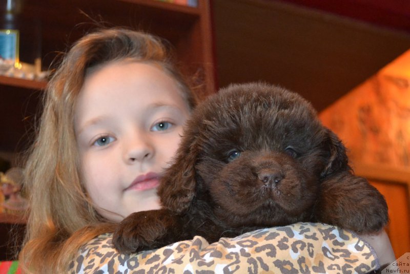 Фотография № 172729