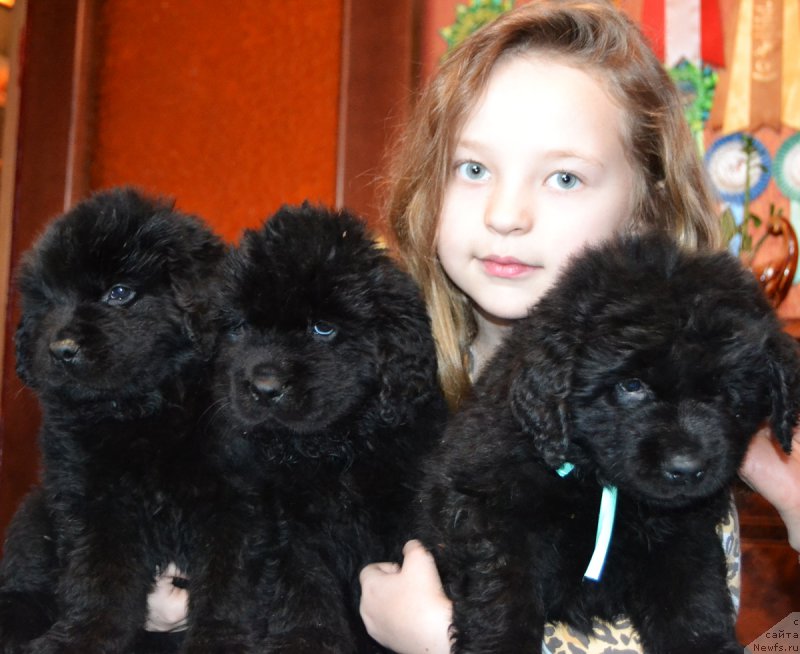 Фотография № 172746