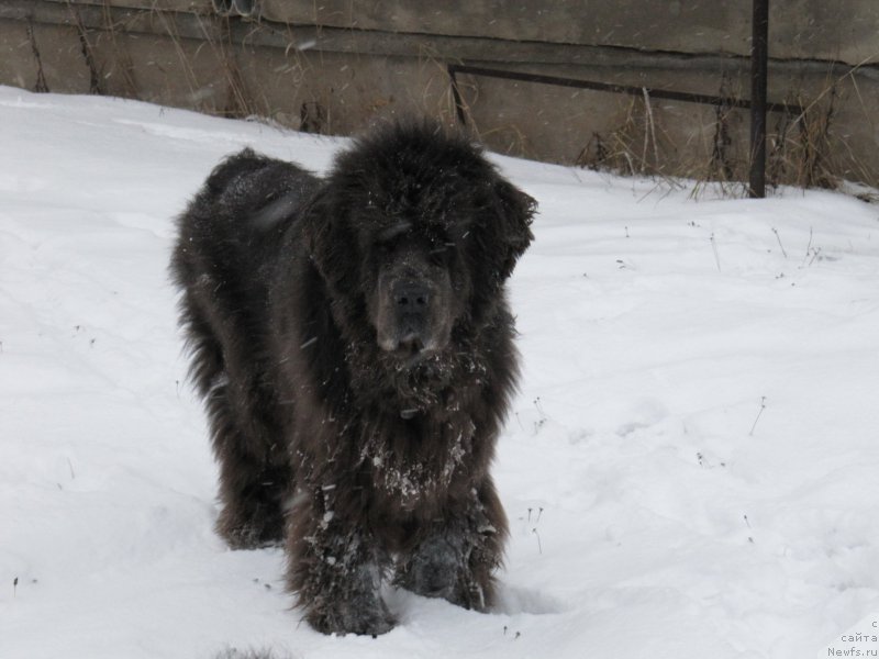 Фотография № 172752