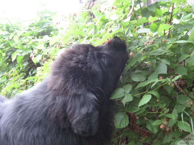 Фотография № 17276