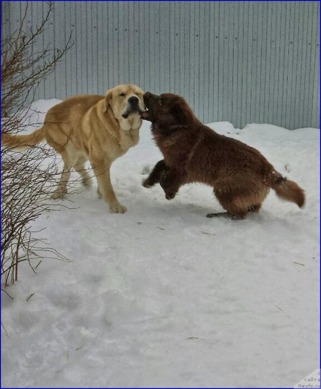 Фотография № 172761