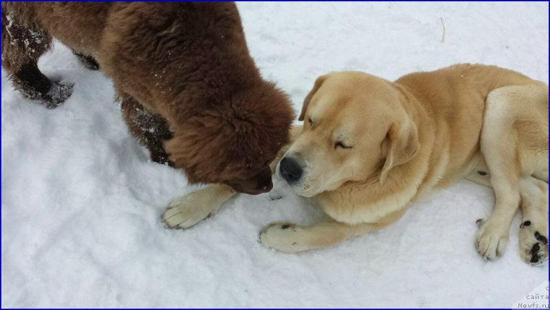 Фотография № 172762