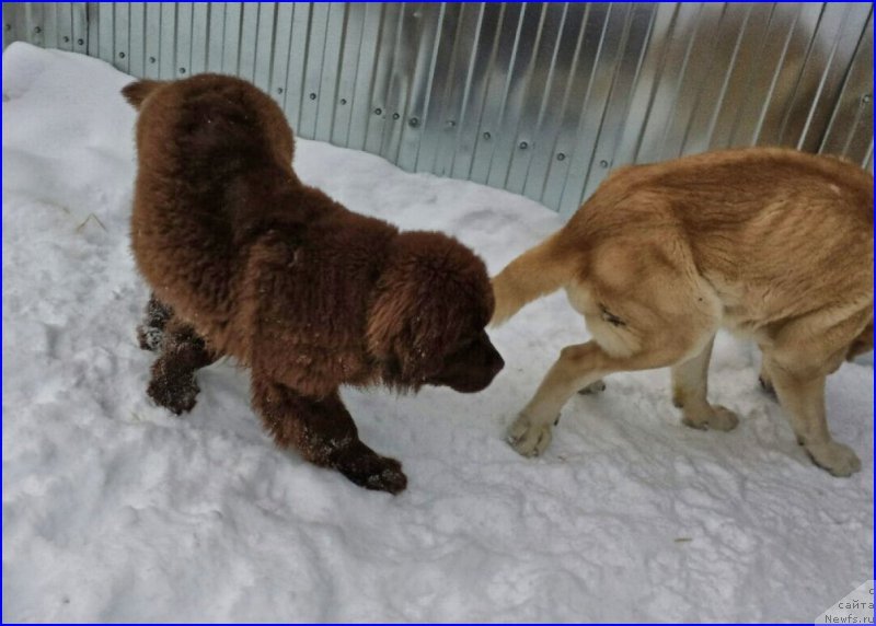 Фотография № 172764