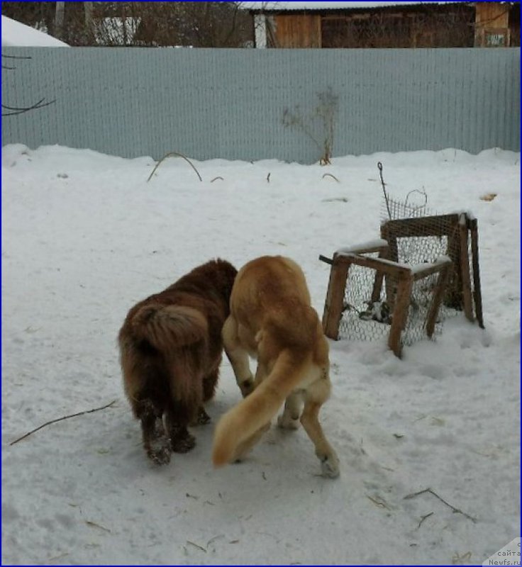 Фотография № 172767