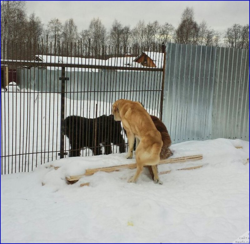 Фотография № 172771