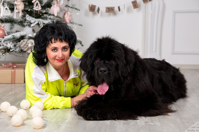 Фотография № 172808