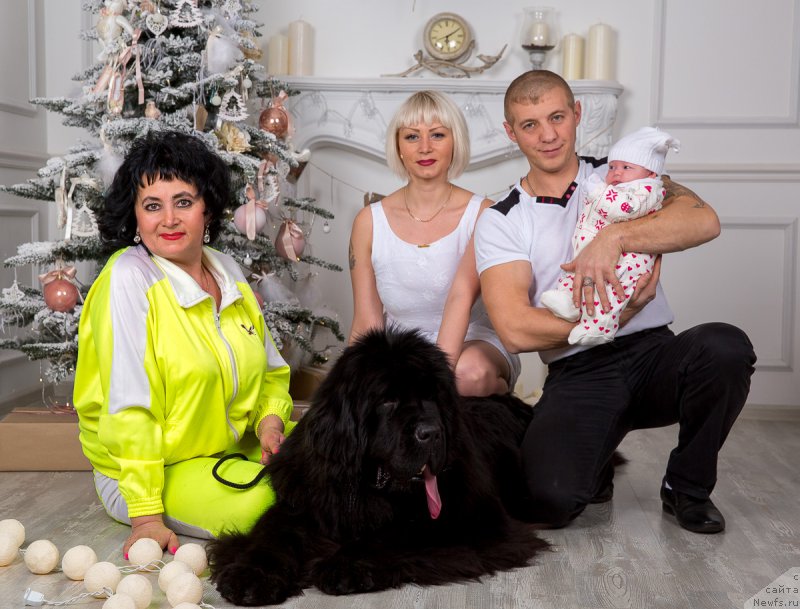 Фотография № 172809