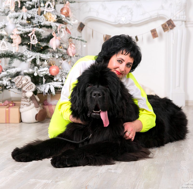 Фотография № 172811