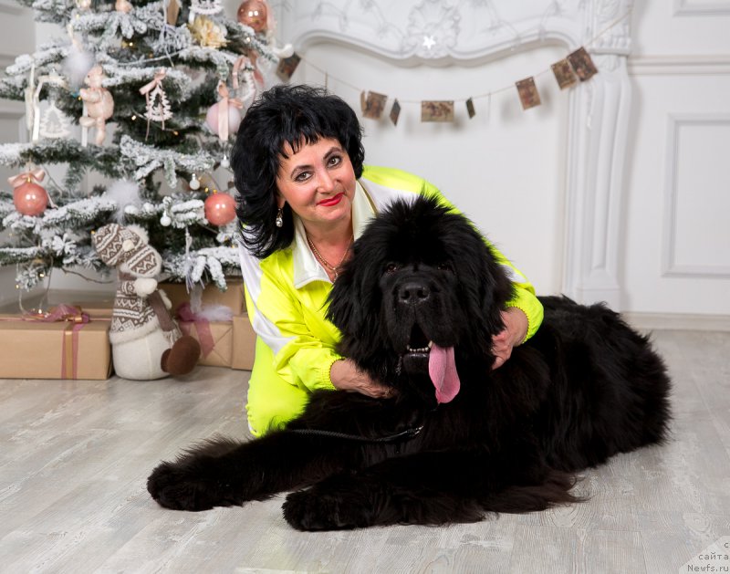 Фотография № 172812