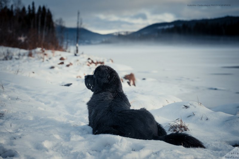 Фотография № 172817