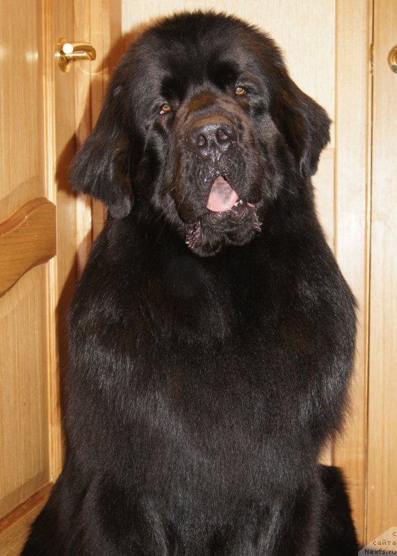 Фотография № 172828