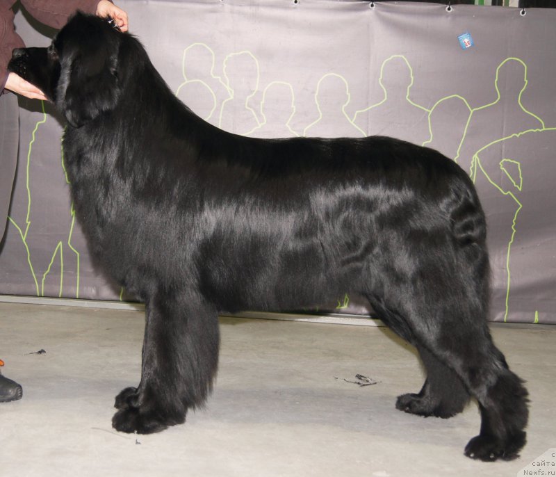 Фотография № 172829