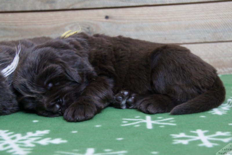 Фото: Акватория Келвин Вэшки.