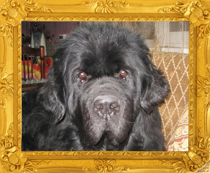 Фотография № 172900