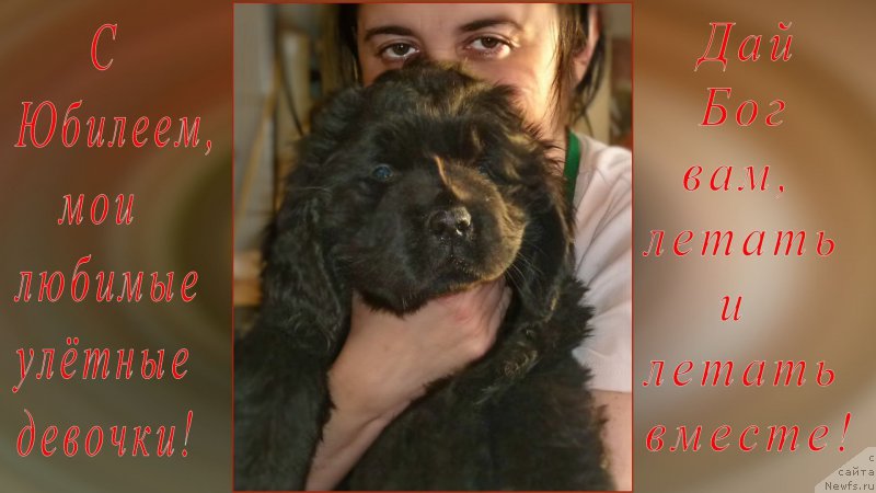 Фотография № 172927