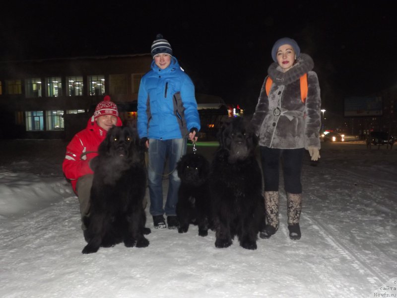 Фотография № 172946