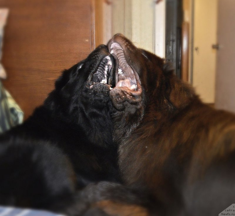 Фотография № 172947