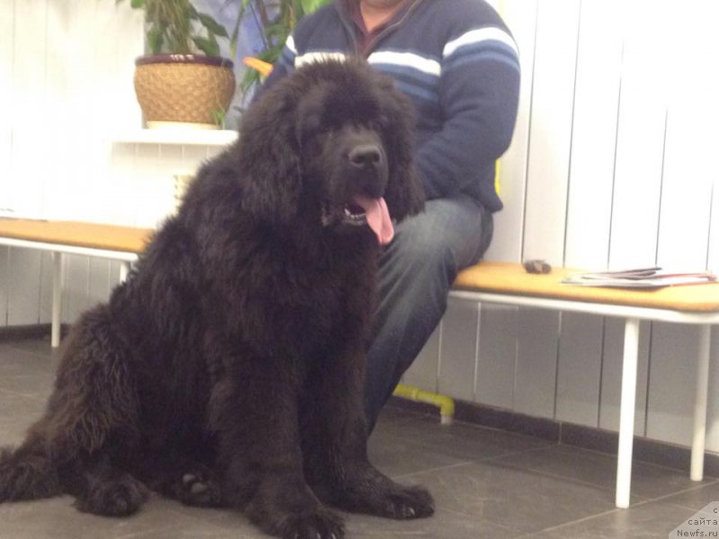 Фотография № 172948