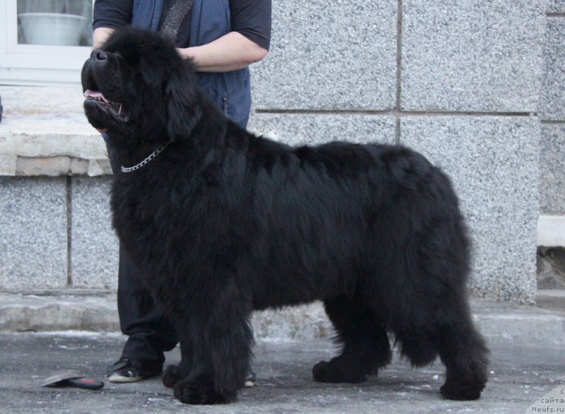 Фотография № 172951