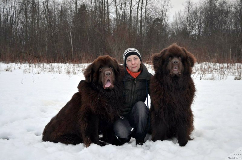 Фотография № 172994