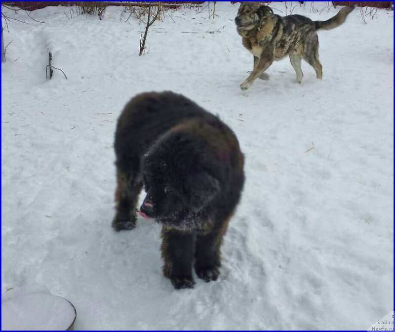 Фотография № 173000