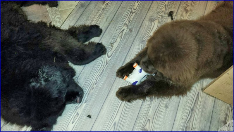 Фотография № 173002