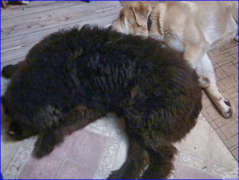 Фотография № 173003