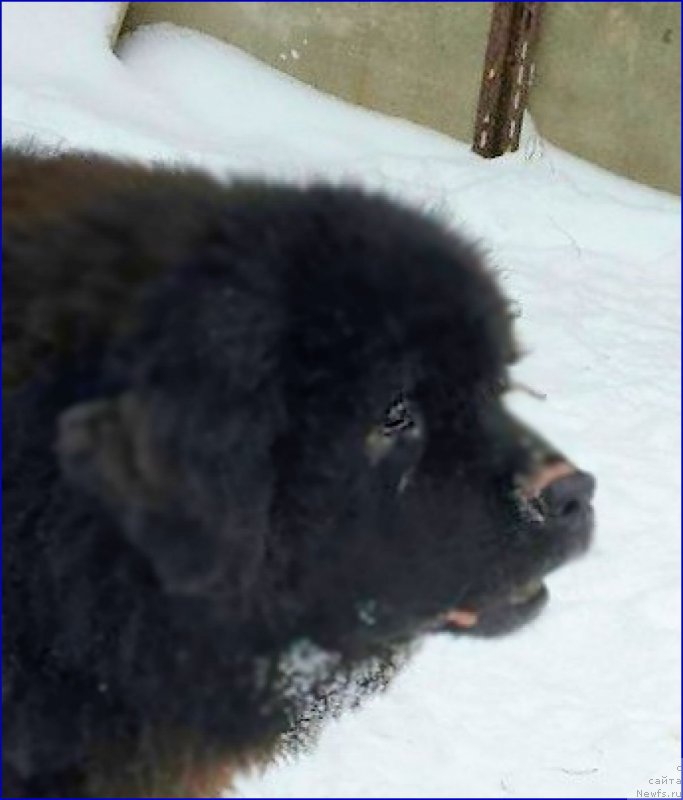 Фотография № 173004