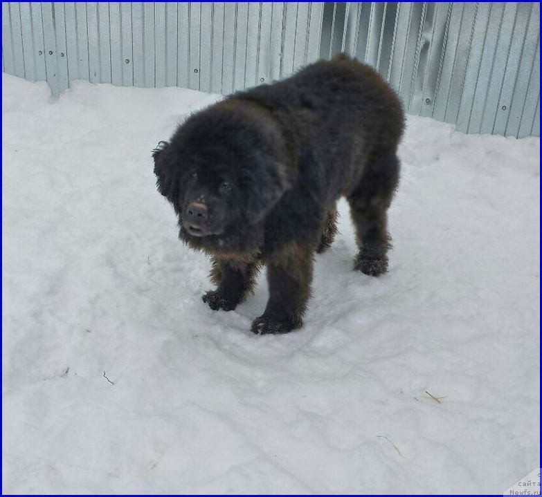 Фотография № 173008