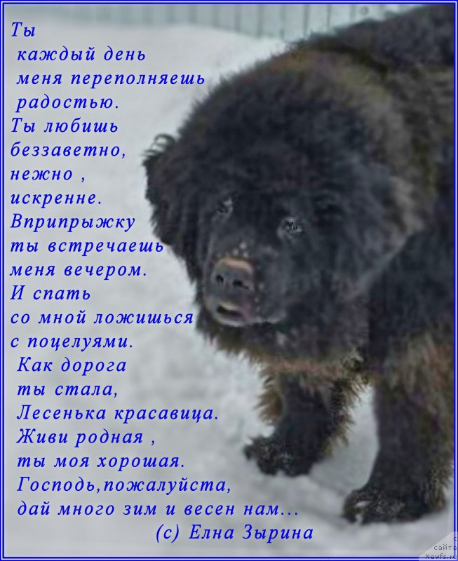 Фотография № 173009