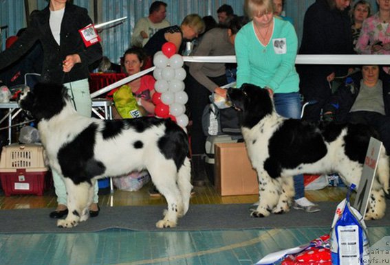 Фотография № 173033