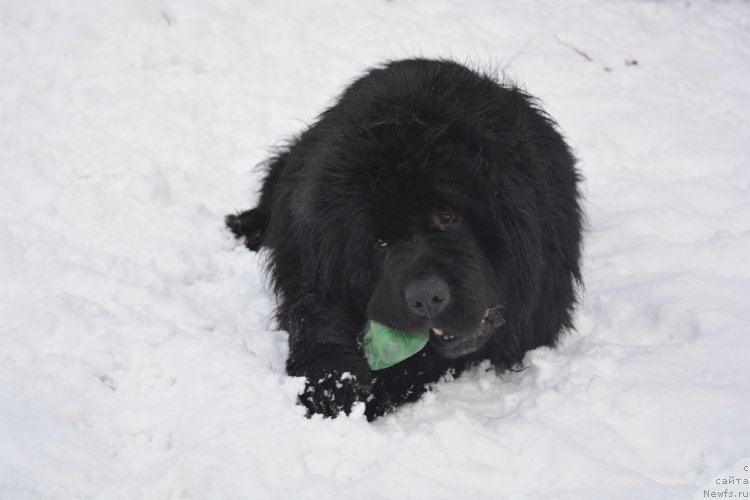 Фотография № 173048