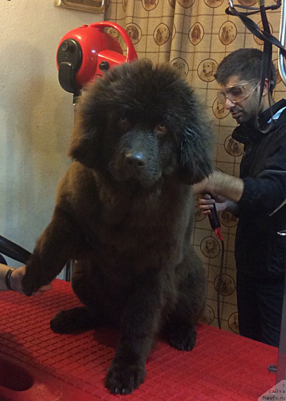 Фото: Екатерина Станкевич