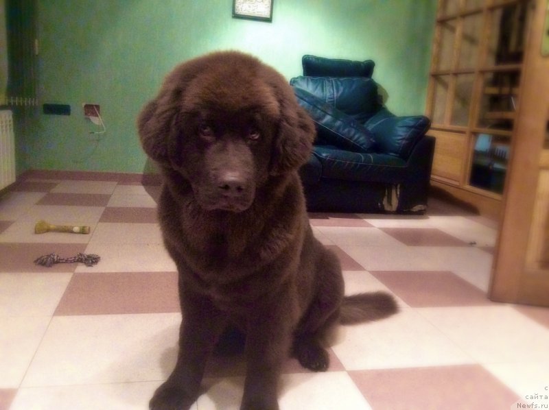 Фото: Екатерина Станкевич