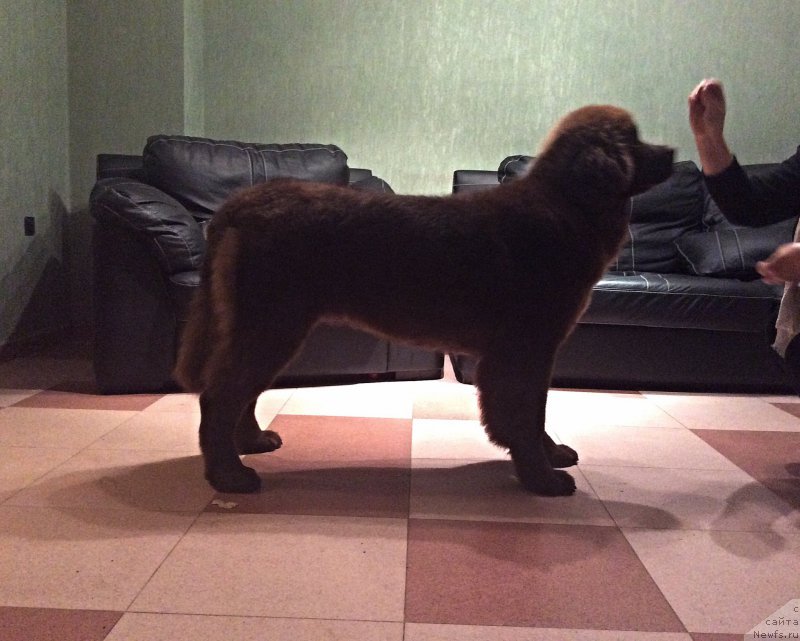 Фото: Екатерина Станкевич