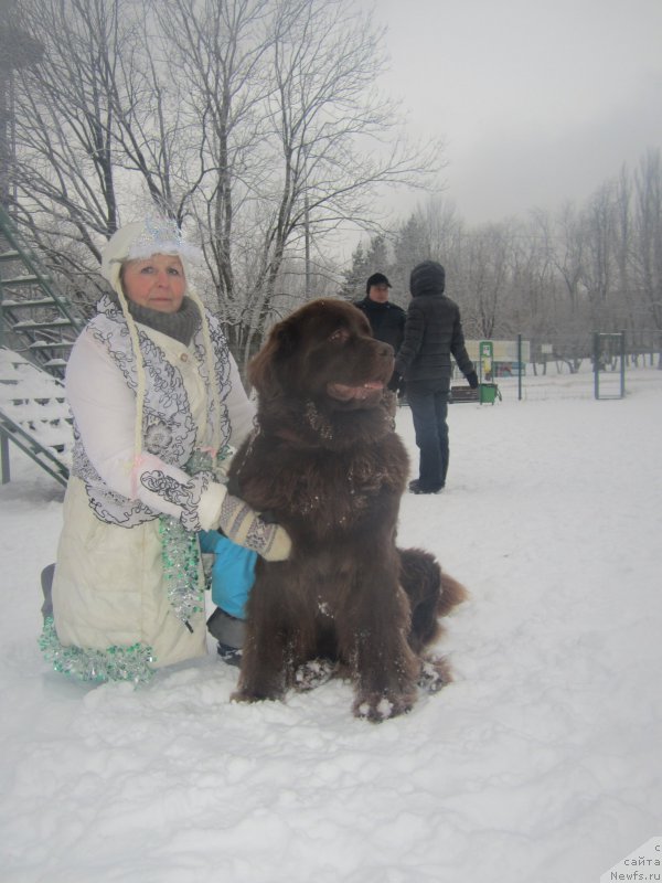 Фото: Наталья Смазчикова