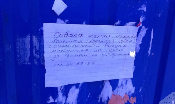 Фотография № 173087