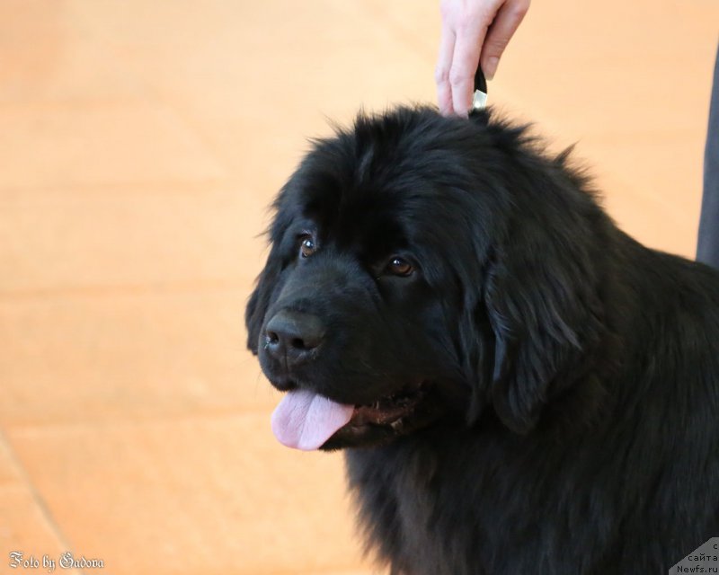 Фотография № 173117