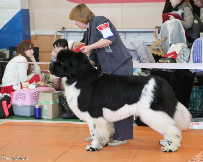 Фотография № 173128