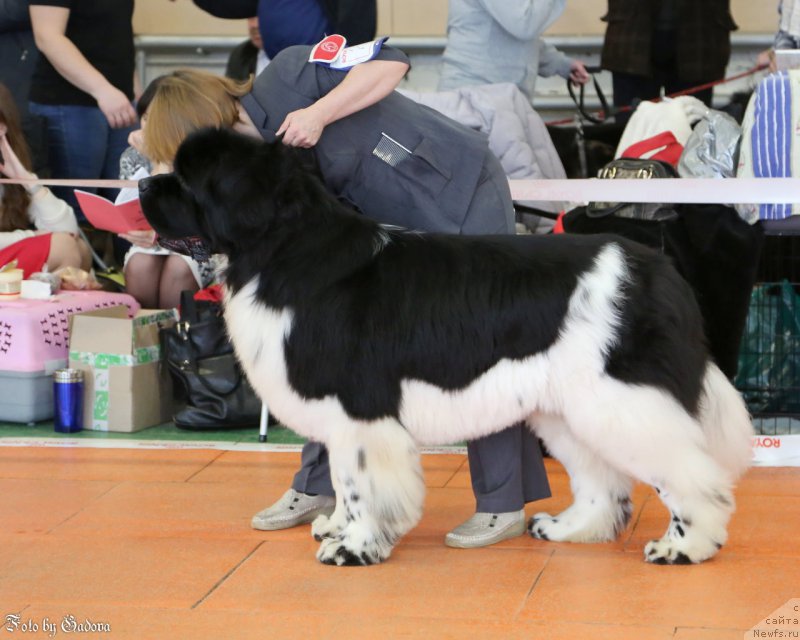 Фотография № 173129