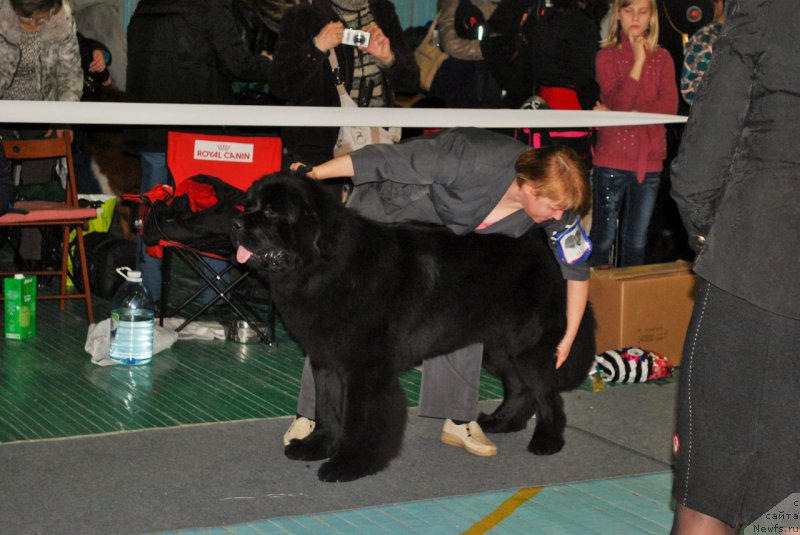 Фотография № 173138