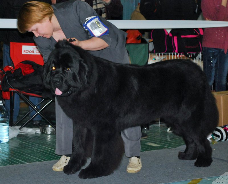 Фотография № 173143