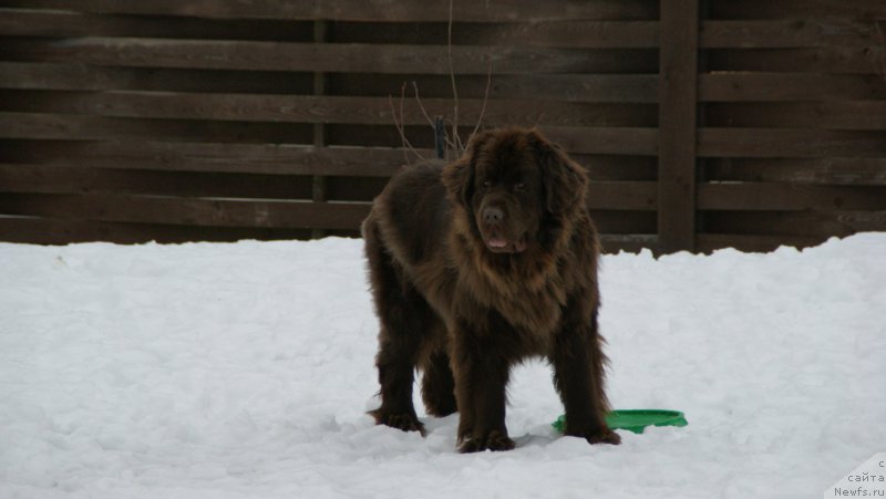 Фотография № 173147