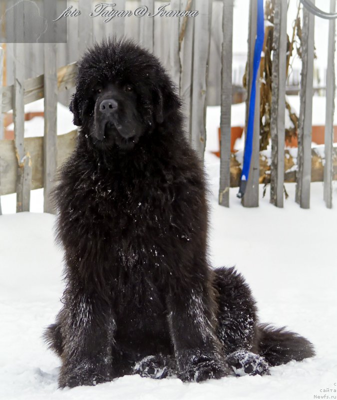 Фотография № 173175